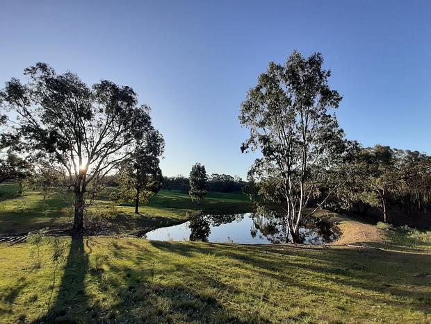 Photo 14 for Heathcote - theYellowBoxWood - Emu Valley