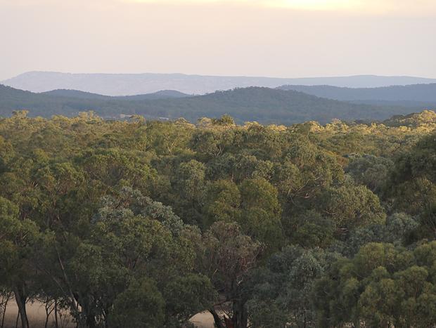 Photo 26 for Heathcote - theYellowBoxWood - Emu Valley