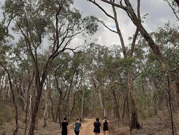Photo 29 for Heathcote - theYellowBoxWood - Emu Valley