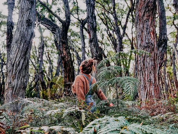 Photo 35 for Camp Otway Hideaway
