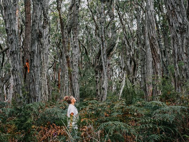 Photo 37 for Camp Otway Hideaway