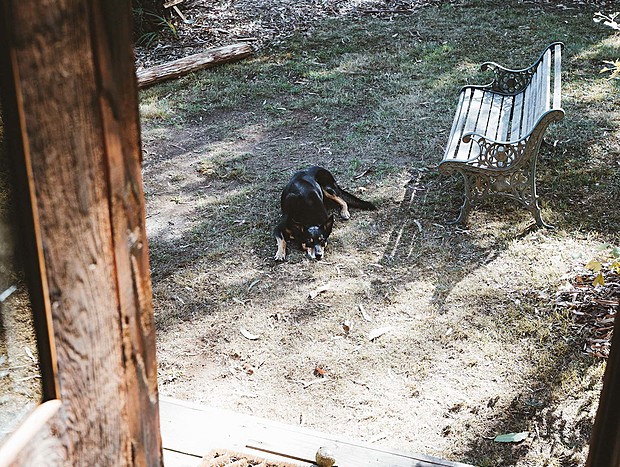 Photo 10 for Tiny House in a Big Forest