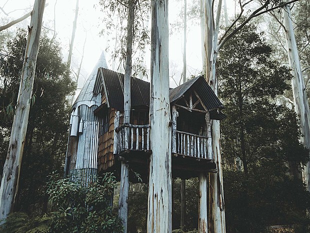 Photo 9 for Tiny House in a Big Forest