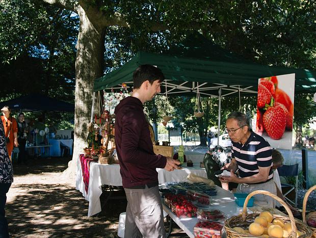 Photo 2 for Visit the Kallista Village Market