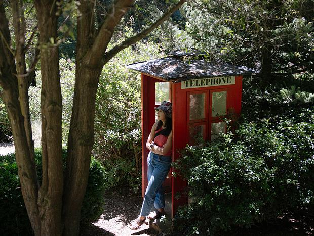Photo 2 for Stroll through the Dandenong Ranges Botanic Gardens