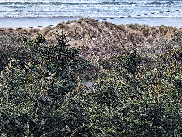 Photo 40 for Lighthouse Lookout virtually beach front at Heceta Beach