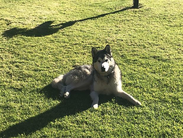 Photo 5 for Mountain Culture Farm Stay (pet friendly)