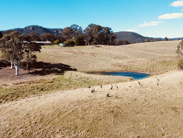 Photo 17 for Mountain Culture Farm Stay (pet friendly)