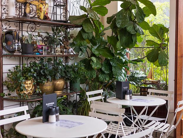 Photo 2 for Plantation Cafe
