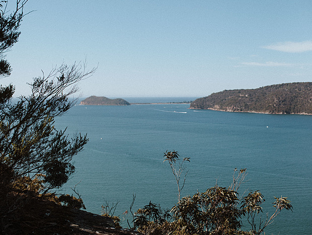 Photo 5 for Warrah Trig Bushwalk