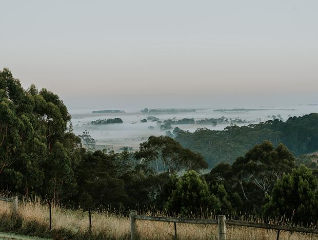 Photo 3 for Windows to The Otways