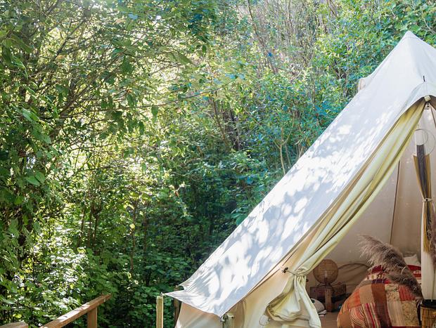 Photo 4 for Safari Serenity: A Luxe Retreat in the Wilderness of Waihi