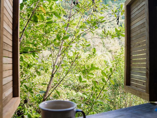 Photo 9 for Safari Serenity: A Luxe Retreat in the Wilderness of Waihi