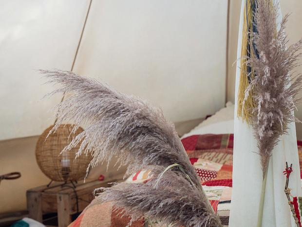 Photo 11 for Safari Serenity: A Luxe Retreat in the Wilderness of Waihi