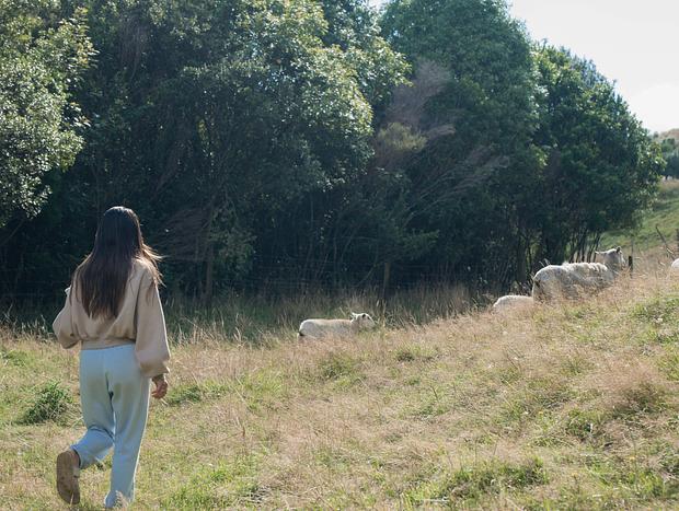 Photo 23 for Safari Serenity: A Luxe Retreat in the Wilderness of Waihi