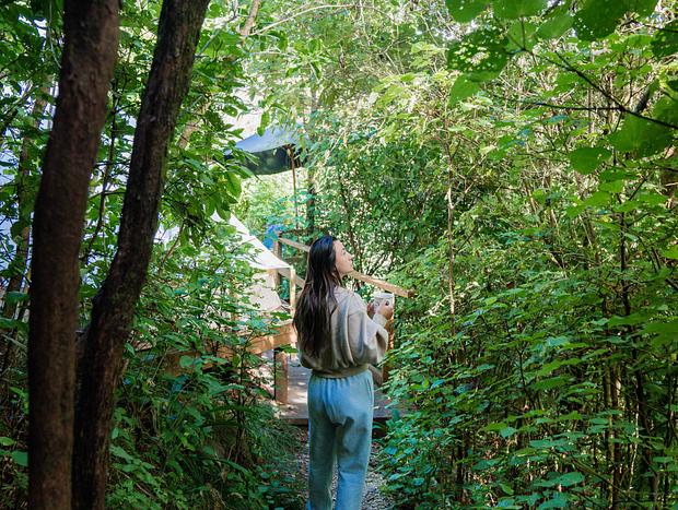 Photo 19 for Safari Serenity: A Luxe Retreat in the Wilderness of Waihi