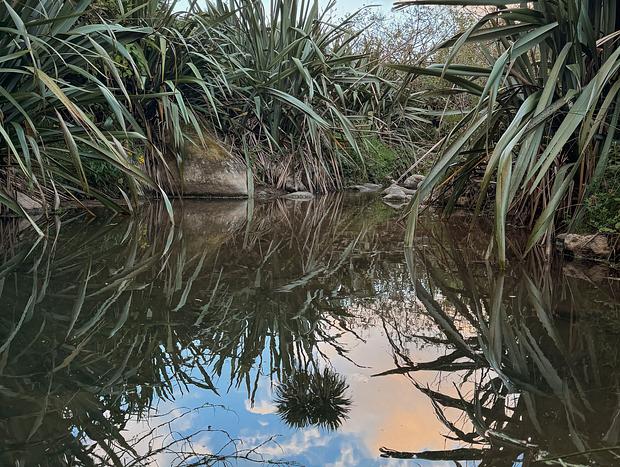 Photo 27 for Safari Serenity: A Luxe Retreat in the Wilderness of Waihi