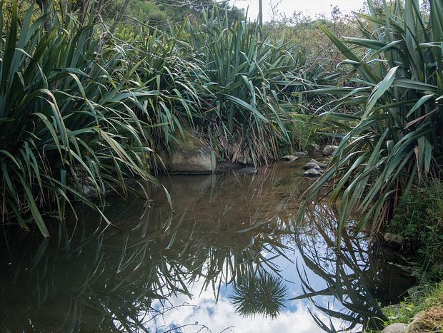 Photo 2 for Property private swimming hole