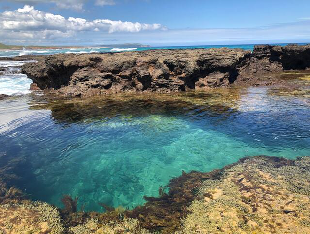 Photo 30 for Surf Beach Phillip Island