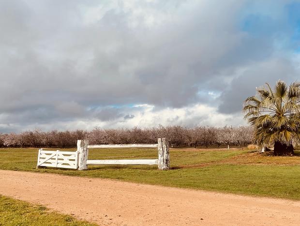Photo 16 for Outback Almonds Farmstay