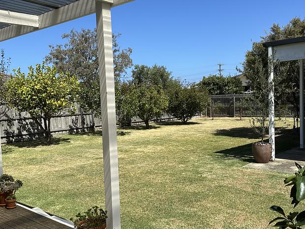 Photo 20 for Wattletree Inn