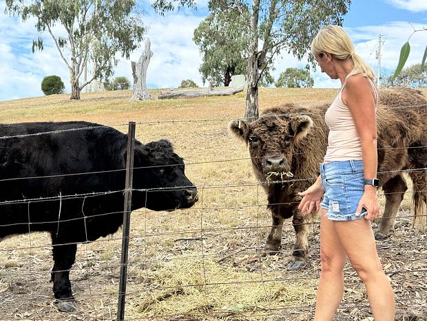 Photo 10 for Three Ways Lakeside Farm Stay