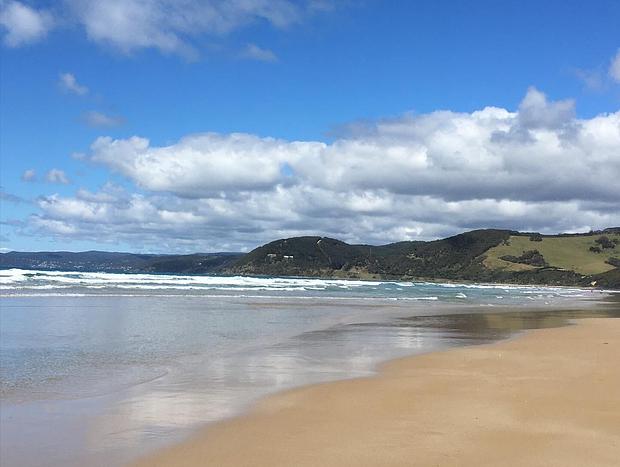 Photo 43 for Forest View - Where the Forest Meets the Ocean