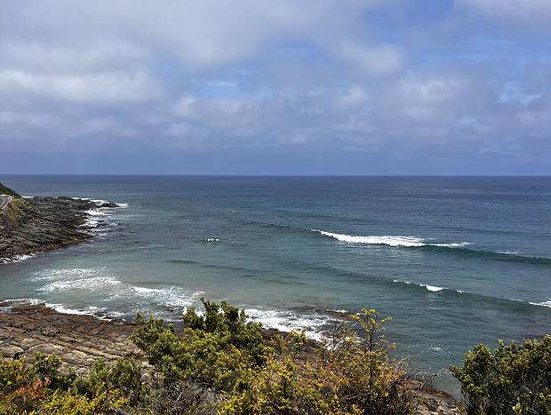 Photo 46 for Forest View - Where the Forest Meets the Ocean
