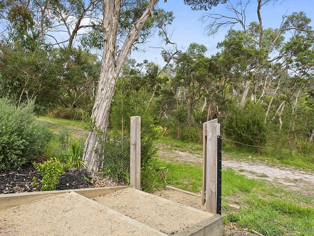 Photo 21 for Corymbia - Mount Martha