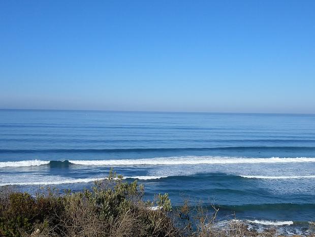 Photo 6 for The Art Studio, Barwon Heads. Coastal Retreat