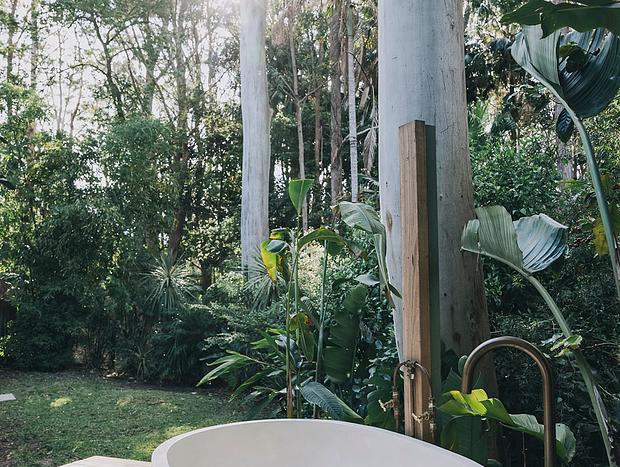 Photo 14 for The Palms - Weatherboard cottage amongst the palm trees