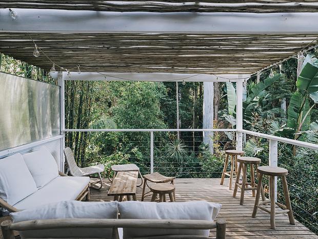 Photo 10 for The Palms - Weatherboard cottage amongst the palm trees