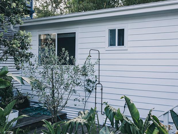 Photo 25 for The Palms - Weatherboard cottage amongst the palm trees