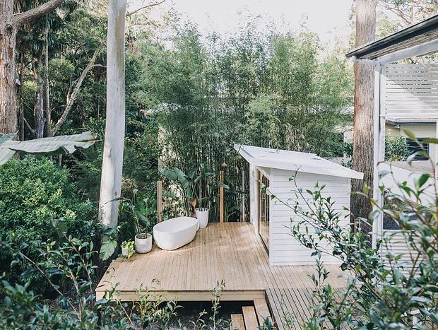Photo 26 for The Palms - Weatherboard cottage amongst the palm trees
