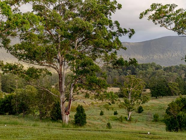 Photo 40 for Avion Retreat - Mountain Escape