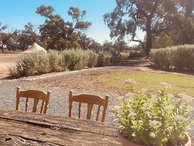 Photo 6 for Outback Almonds Farmstay