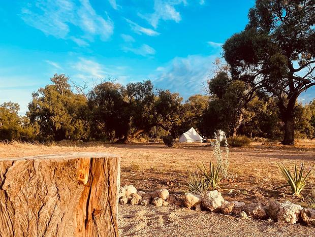 Photo 7 for Outback Almonds Farmstay