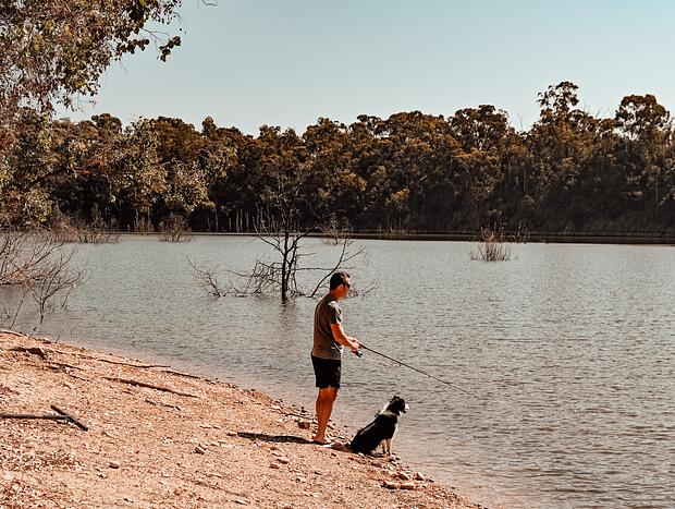 Photo 2 for Backyard Fishing on Eildon