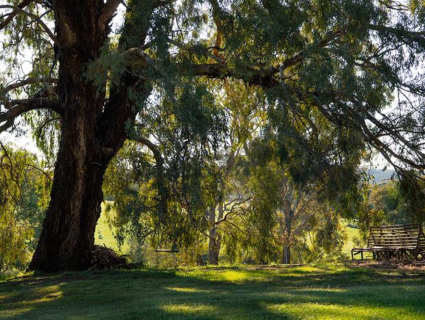 Photo 33 for The Welcome Paddock - Daylesford & Hepburn Springs