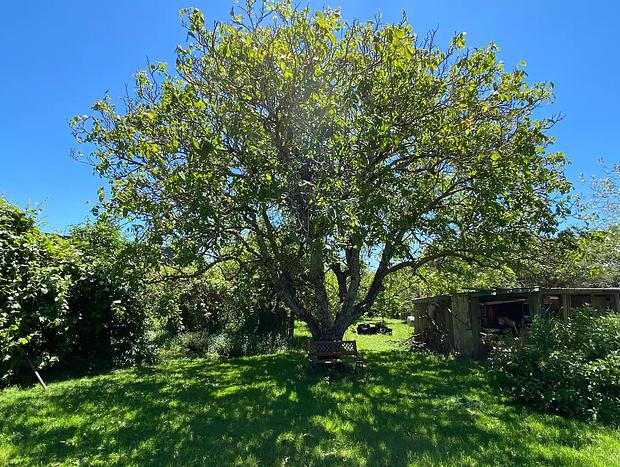 Photo 20 for Deep Earth Sanctuary: Writers' Retreat.