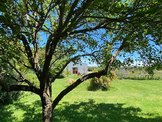 Photo 6 for Deep Earth Sanctuary: Writers' Retreat.