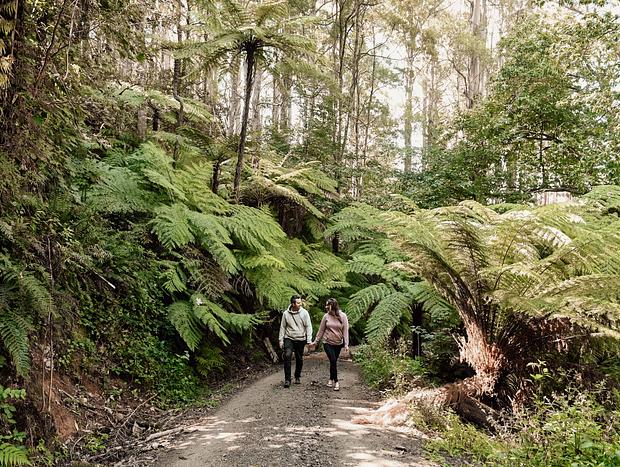Photo 1 for Explore an 11 acre forest gem