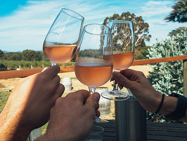 Photo 1 for Wine Trails