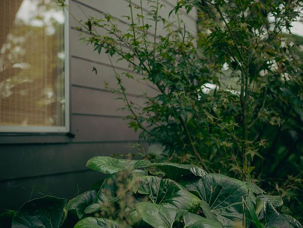 Photo 8 for Somersby Guesthouse