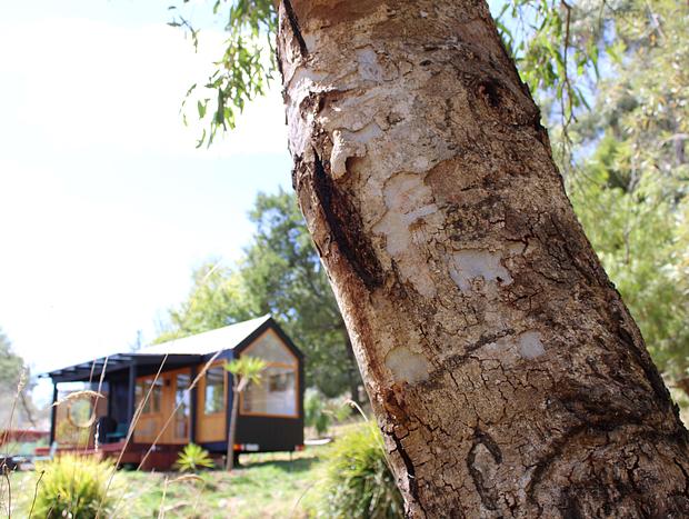 Photo 32 for Libelle - Tiny house on 3 acres IN Daylesford - Secluded Luxury!