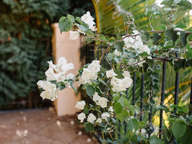 Photo 27 for Water at your door- Casa Pacifica aka "Encanto House!"
