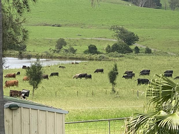 Photo 47 for Yasar farm stay Marshall view