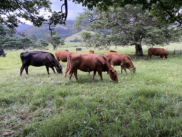 Photo 32 for Yasar farm stay Marshall view