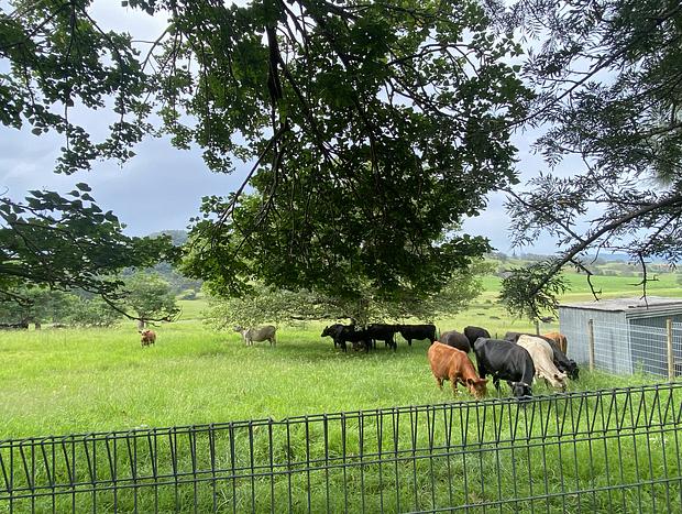Photo 49 for Yasar farm stay Marshall view