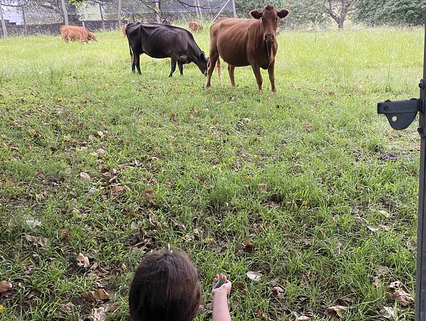 Photo 50 for Yasar farm stay Marshall view